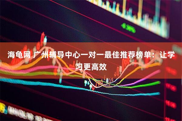 海龟网 广州辅导中心一对一最佳推荐榜单：让学习更高效